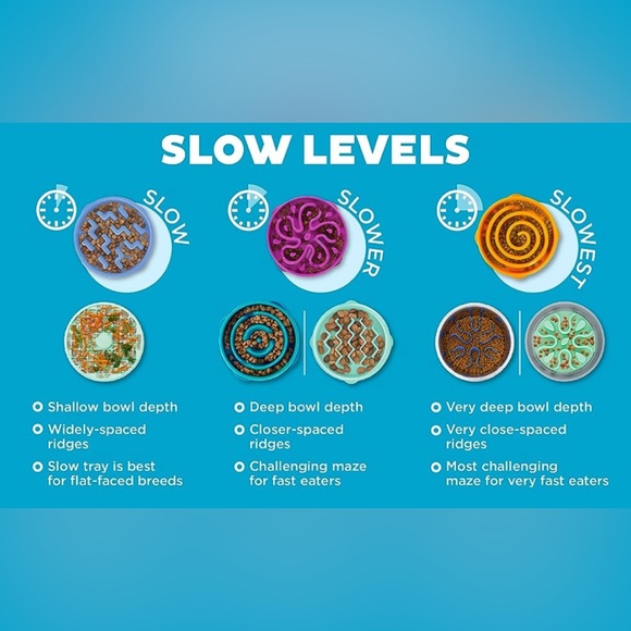 🐶 NIB Dog Slow Feeder Bowl 🐶 - Picture 4 of 7